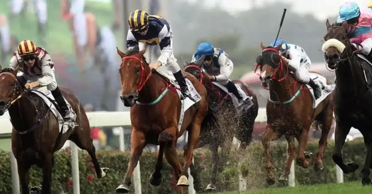 BGC raises £15,000 for charity through Grand National betting