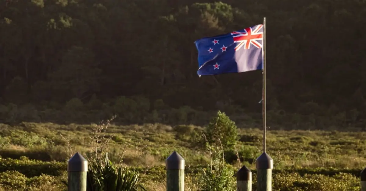 NZ online casino reform