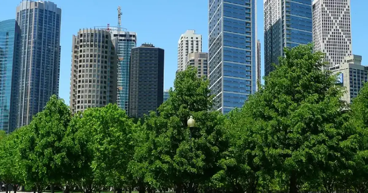 Illinois June betting report