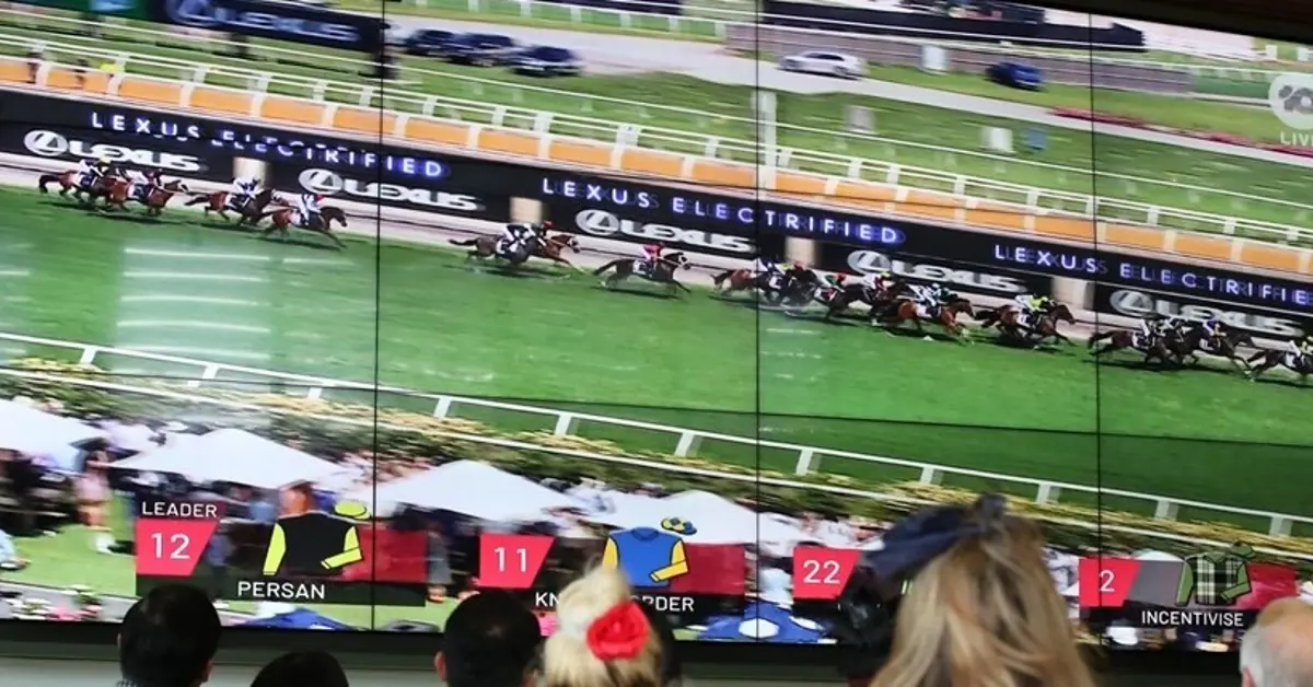 Australia Institute proposes 2% gambling levy