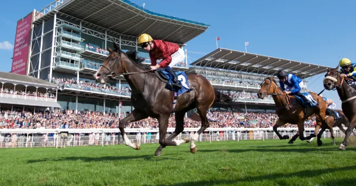 Colossus Bets bids to replace Tote Group at UK racecourses