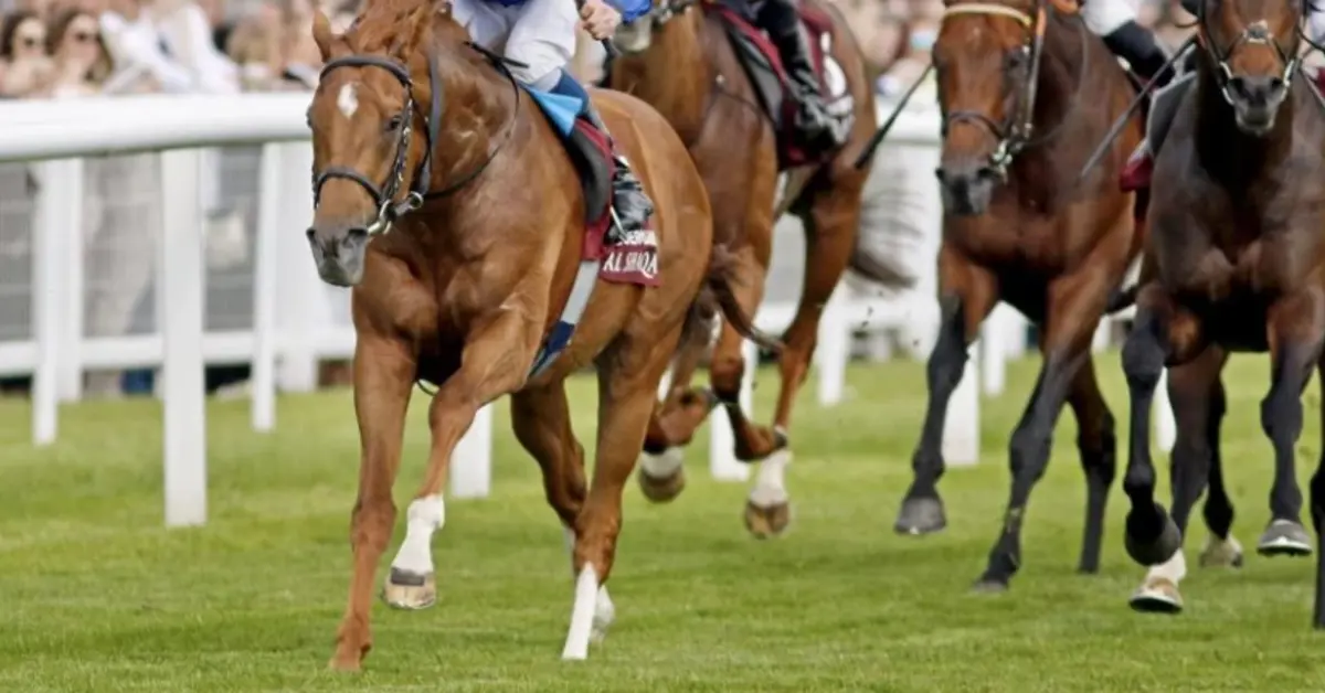 Texas horse racing crackdown leads to 14 arrests