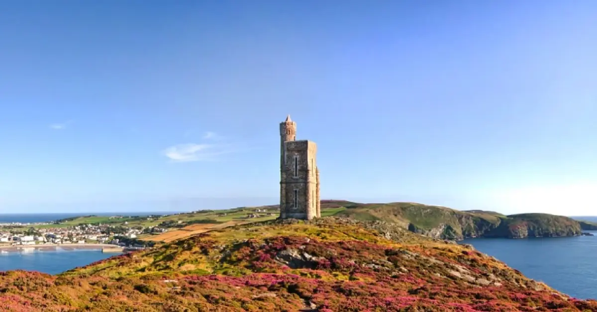 IoM GSC survey report