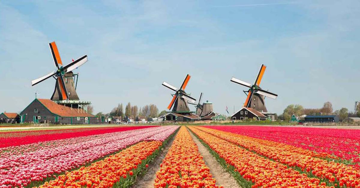 Dutch mental health service argues for total ban on online gambling ads