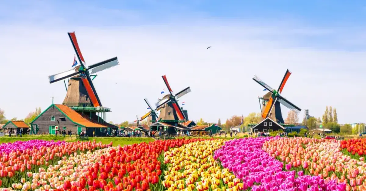 Dutch iGaming Market Faces Further Contraction as Two Operators Exit