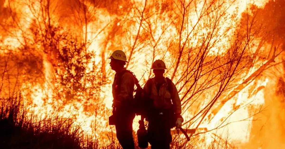 Flutter FanDuel  wildfire donation