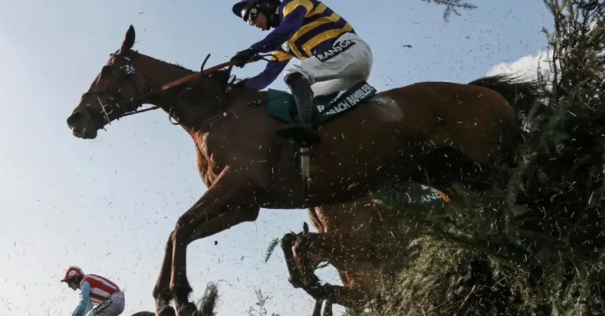 £10 million of illegal bets expected on Grand National