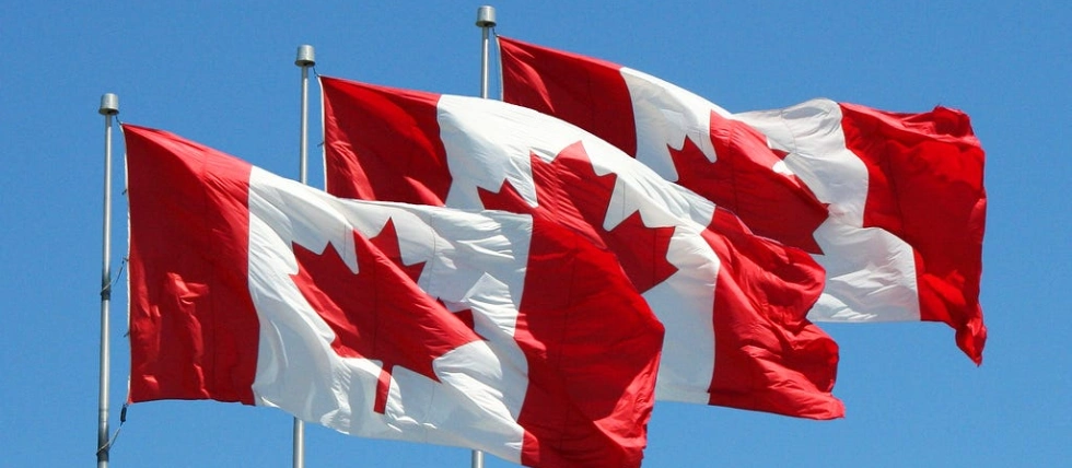 Illegal gambling persists in Ontario despite regulation