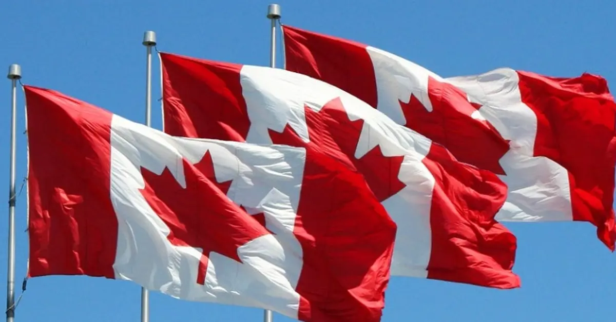 Illegal gambling persists in Ontario despite regulation