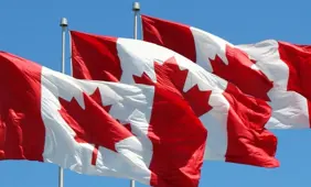 Illegal gambling persists in Ontario despite regulation