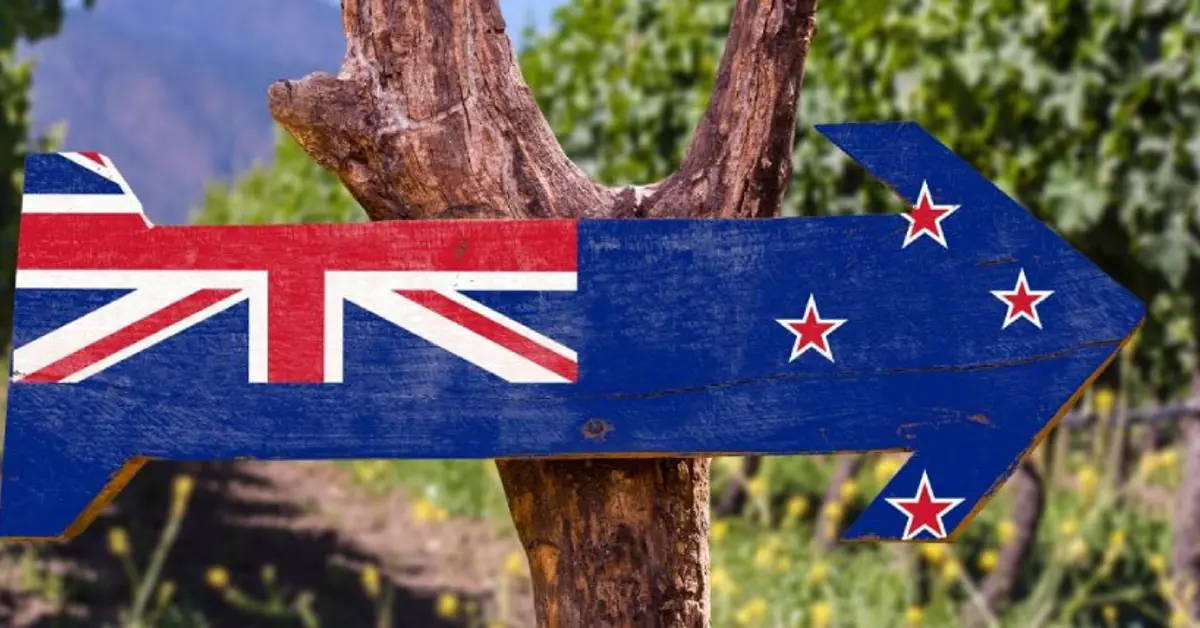 NZ iGaming operator interest