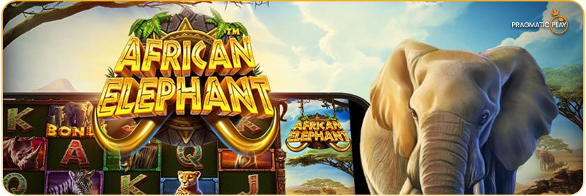 Pragmatic Play - African Elephant slot