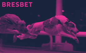 BresBet are making their debut in sport betting market